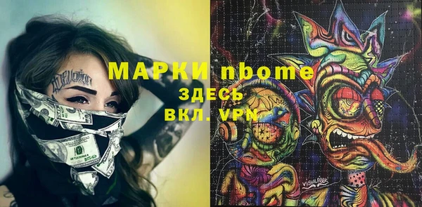 хмурый Алзамай