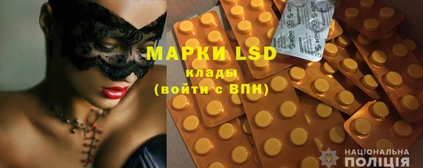 индика Алексин