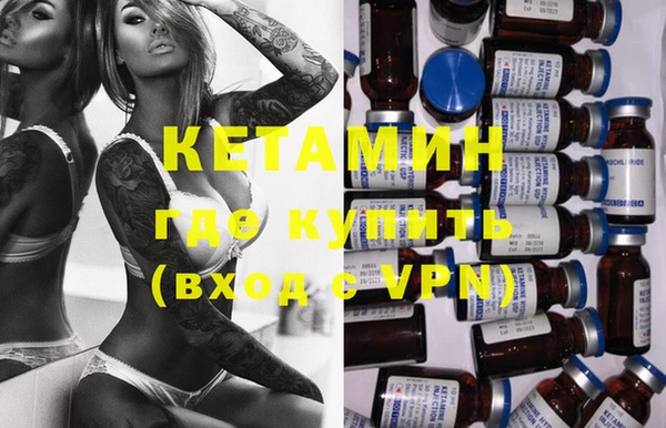 индика Алексин