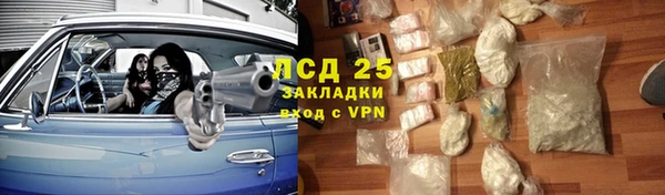 хмурый Алзамай