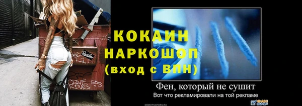 индика Алексин