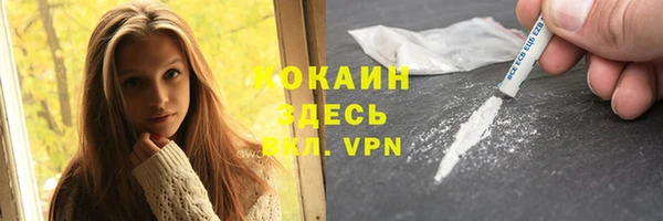 индика Алексин