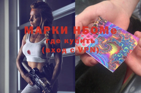 индика Алексин