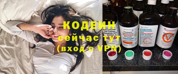 хмурый Алзамай