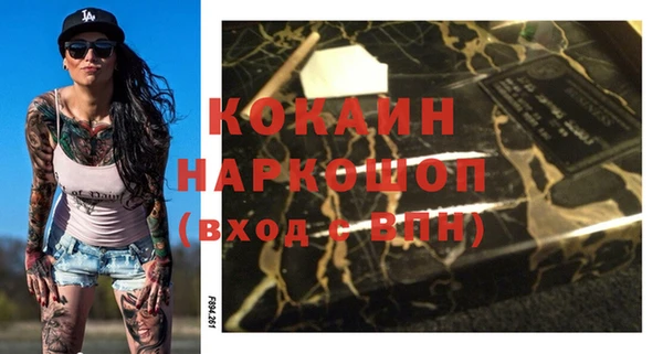 индика Алексин