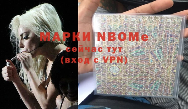 индика Алексин