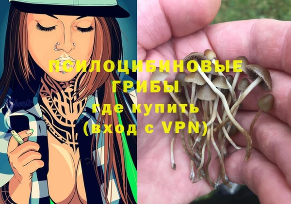 индика Алексин